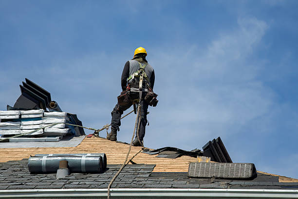 Professional Roof Repair technician working in Hamlet, IN